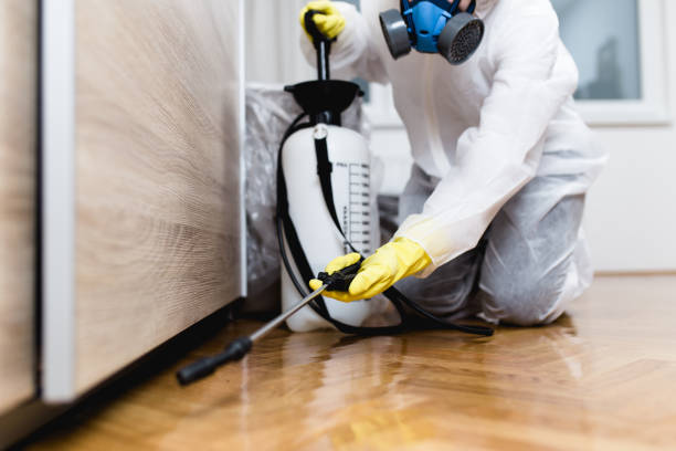 Best Emergency Pest Control  in Fort Morgan, CO