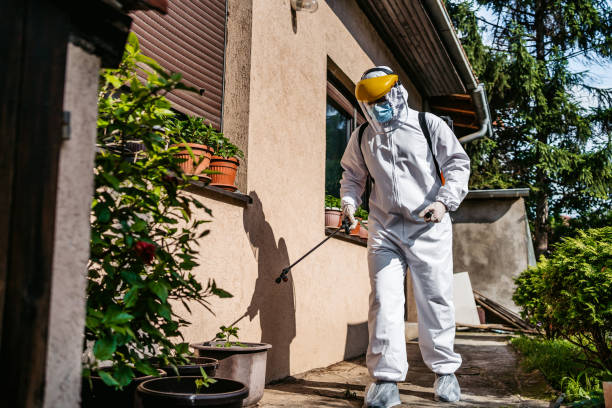 Best Mosquito Control Services  in Fort Morgan, CO