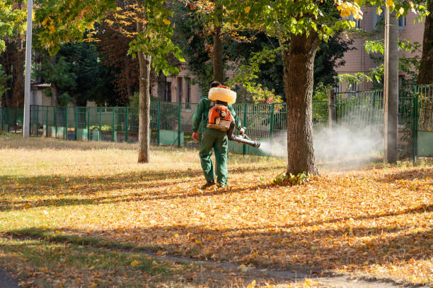 Fort Morgan, CO Pest Control Company